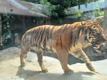 神戸どうぶつ王国に投稿された画像（2024/5/18）