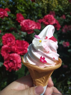 横浜イングリッシュガーデンに投稿された画像（2024/5/18）