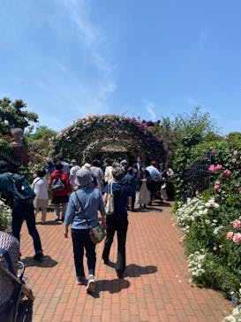 横浜イングリッシュガーデンに投稿された画像（2024/5/18）