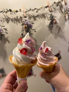 横浜イングリッシュガーデンに投稿された画像（2024/5/18）