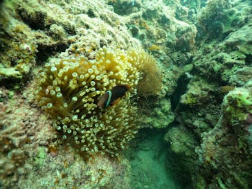 武藤潜水に投稿された画像（2024/5/18）