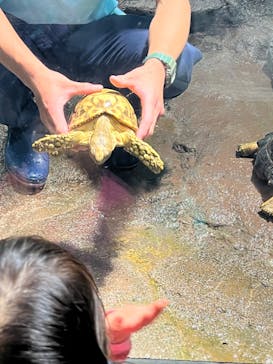 サンシャイン水族館に投稿された画像（2024/5/18）