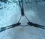 宮古島 ADVENTURE PiPi（ミヤコジマ アドベンチャー ピピ）に投稿された画像（2024/5/18）