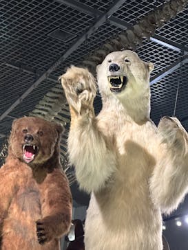 特別展「大哺乳類展３－わけてつなげて大行進」に投稿された画像（2024/5/18）