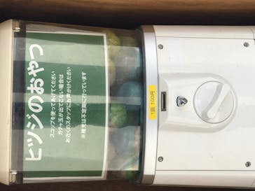 那須どうぶつ王国に投稿された画像（2024/5/18）