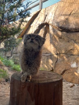 那須どうぶつ王国に投稿された画像（2024/5/18）