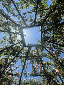 横浜イングリッシュガーデンに投稿された画像（2024/5/18）