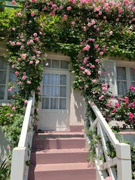 浜名湖花博2024に投稿された画像（2024/5/18）