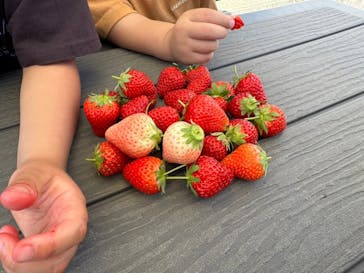 ICHIGOHOUSE.MITAKAに投稿された画像（2024/5/18）