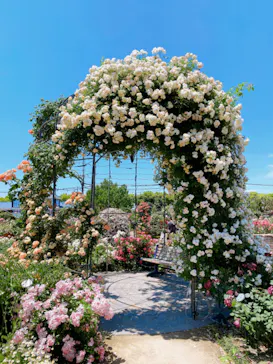 ひらかたパークに投稿された画像（2024/5/18）