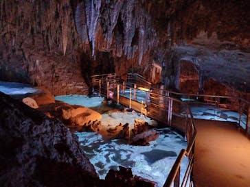 おきなわワールドに投稿された画像（2024/5/18）