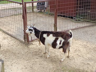 ビオスの丘に投稿された画像（2024/5/18）