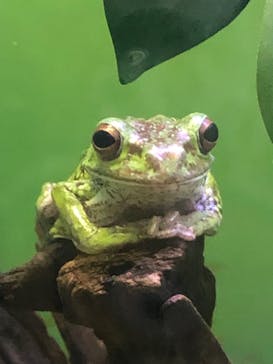 サンシャイン水族館に投稿された画像（2024/5/18）