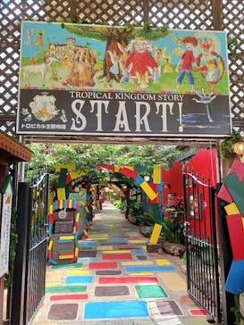 OKINAWAフルーツらんどに投稿された画像（2024/5/18）