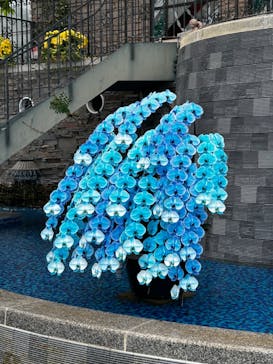 浜名湖花博2024に投稿された画像（2024/5/18）