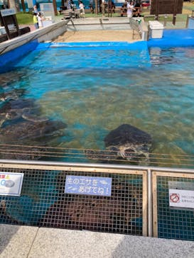 南知多ビーチランド＆南知多おもちゃ王国に投稿された画像（2024/5/18）