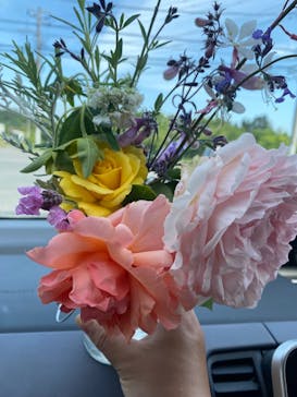 いばらきフラワーパークに投稿された画像（2024/5/18）