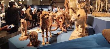 特別展「大哺乳類展３－わけてつなげて大行進」に投稿された画像（2024/5/18）