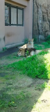 日立市かみね動物園に投稿された画像（2024/5/18）