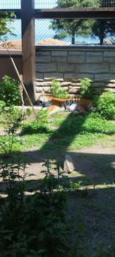 日立市かみね動物園に投稿された画像（2024/5/18）