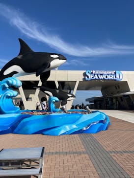 鴨川シーワールドに投稿された画像（2024/5/18）