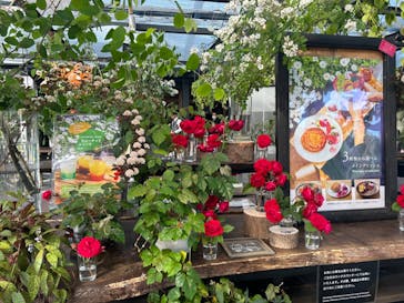 いばらきフラワーパークに投稿された画像（2024/5/18）