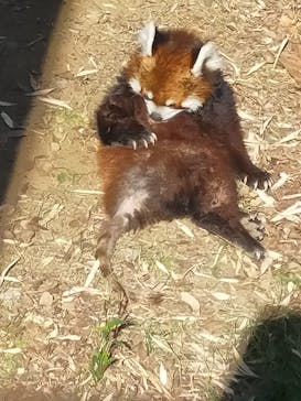 千葉市動物公園に投稿された画像（2024/5/18）