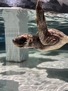 AOAO SAPPOROに投稿された画像（2024/5/18）