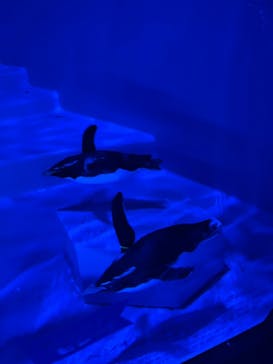 AOAO SAPPOROに投稿された画像（2024/5/18）