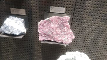 福井県立恐竜博物館に投稿された画像（2024/5/18）