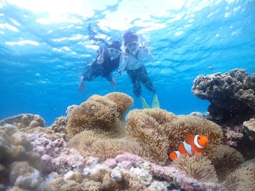 元気玉に投稿された画像（2024/5/18）