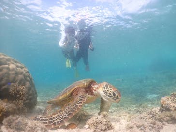 元気玉に投稿された画像（2024/5/18）