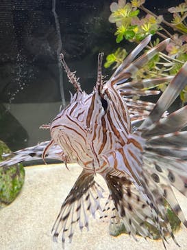 浜名湖体験学習施設ウォットに投稿された画像（2024/5/18）