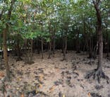 石垣島 ADVENTURE PiPi（イシガキジマアドベンチャーピピ）に投稿された画像（2024/5/18）