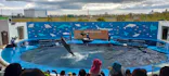 仙台うみの杜水族館に投稿された画像（2024/5/18）