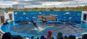 仙台うみの杜水族館に投稿された画像（2024/5/18）