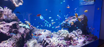 仙台うみの杜水族館に投稿された画像（2024/5/18）