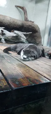 仙台うみの杜水族館に投稿された画像（2024/5/18）