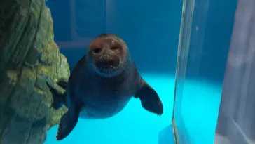 仙台うみの杜水族館に投稿された画像（2024/5/18）