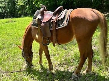 クリオステーブルに投稿された画像（2024/5/18）