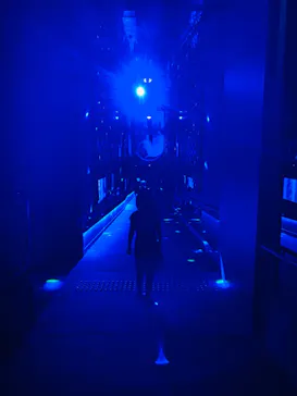 すみだ水族館に投稿された画像（2024/5/18）