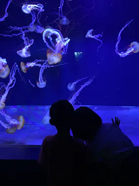 すみだ水族館に投稿された画像（2024/5/18）