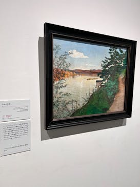 北欧の神秘（ＳＯＭＰＯ美術館）に投稿された画像（2024/5/18）