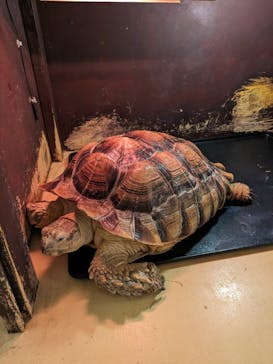 Moff animal cafe イオンモール幕張新都心店に投稿された画像（2024/5/18）