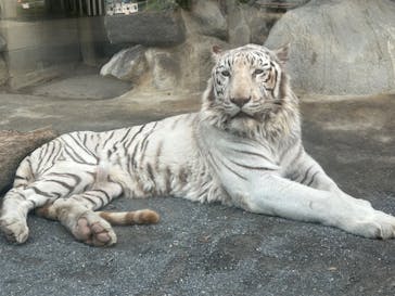 東武動物公園に投稿された画像（2024/5/18）