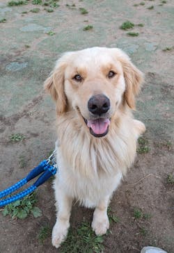 つくばわんわんランドに投稿された画像（2024/5/18）