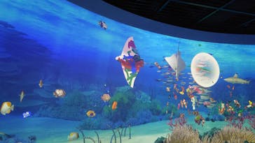 鴨川シーワールドに投稿された画像（2024/5/19）