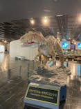 福井県立恐竜博物館に投稿された画像（2024/5/19）