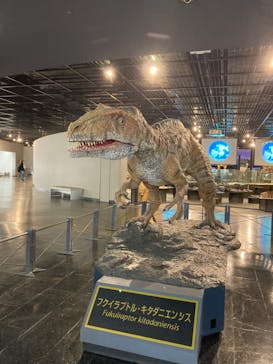 福井県立恐竜博物館に投稿された画像（2024/5/19）