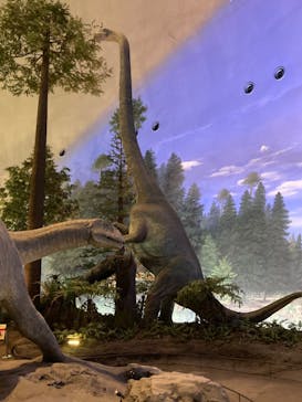 福井県立恐竜博物館に投稿された画像（2024/5/19）